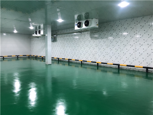 时搏(中国)蔬菜保鲜库 时搏(中国)蔬菜保鲜库